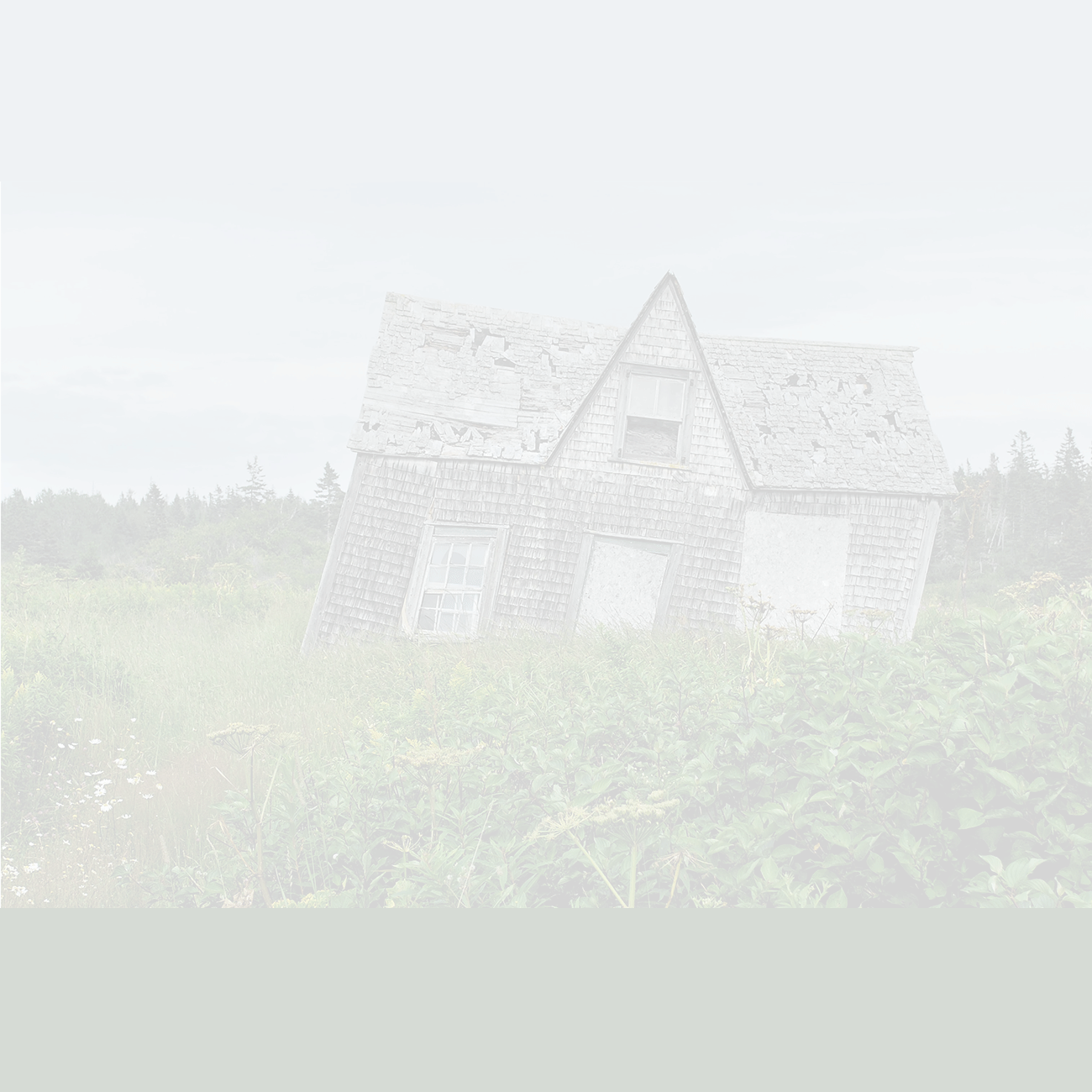 tlctransparent New Hope Real Estate Investments